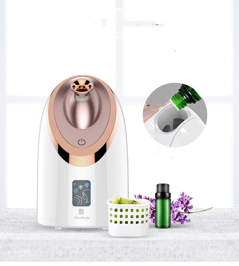 Facial Steamer Nano Spray Moisturizing Instrument Hot Spray Humidifier Steam Household